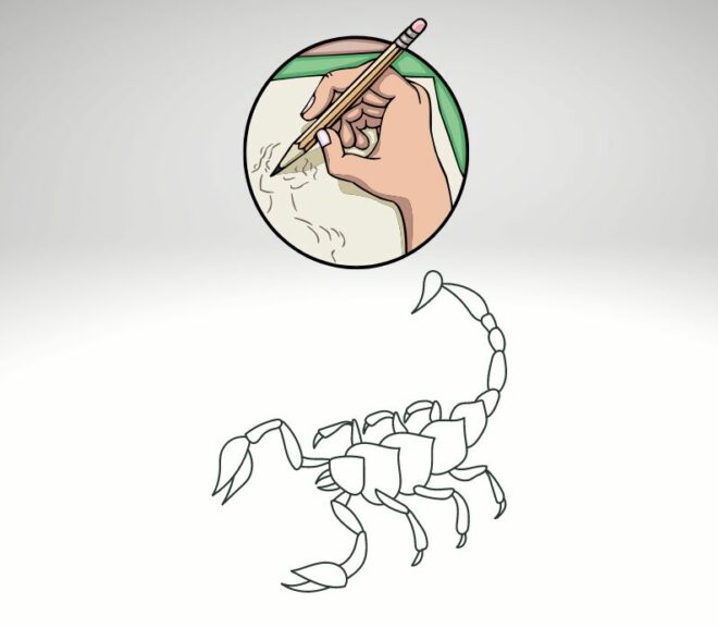 How To Draw A Scorpion In 5-Easy Steps