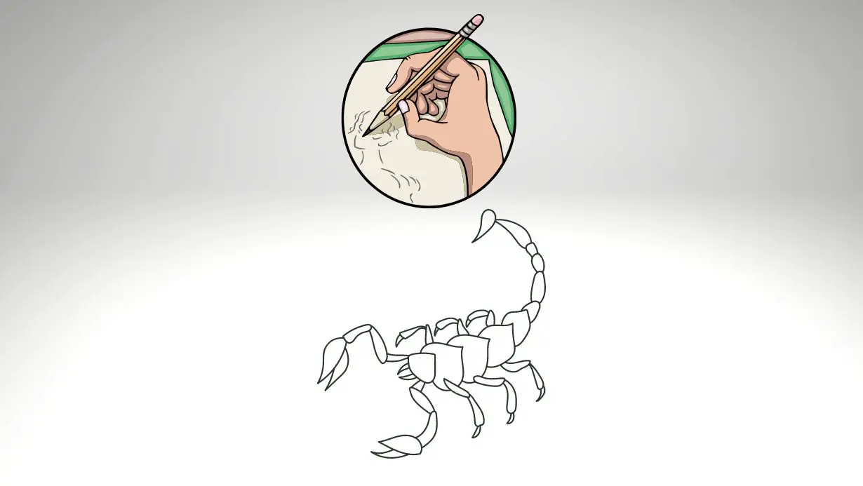 How To Draw A Scorpion In Easy Steps