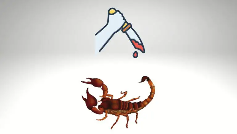How To Kill a Scorpion? 5 Humane Ways
