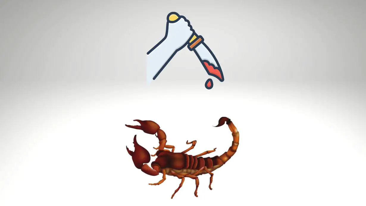 How To Kill a Scorpion? Humane Ways