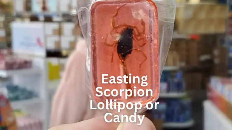 Can you Eat a Scorpion Lollipop or Candy?