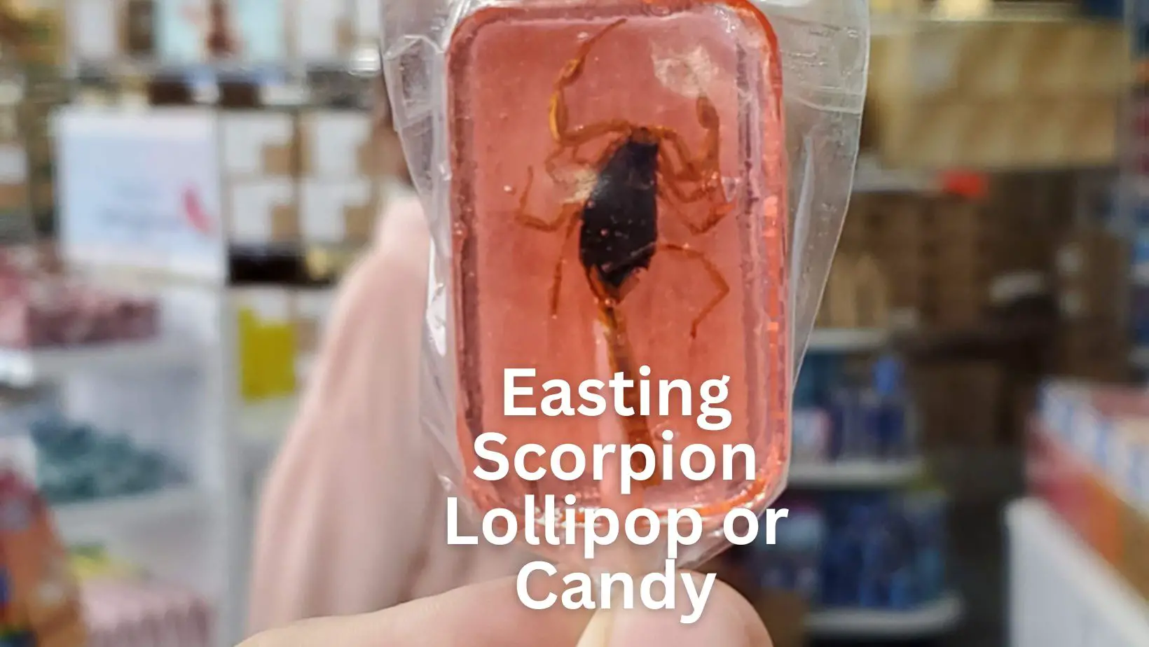 Can you Eat a Scorpion Lollipop or Candy