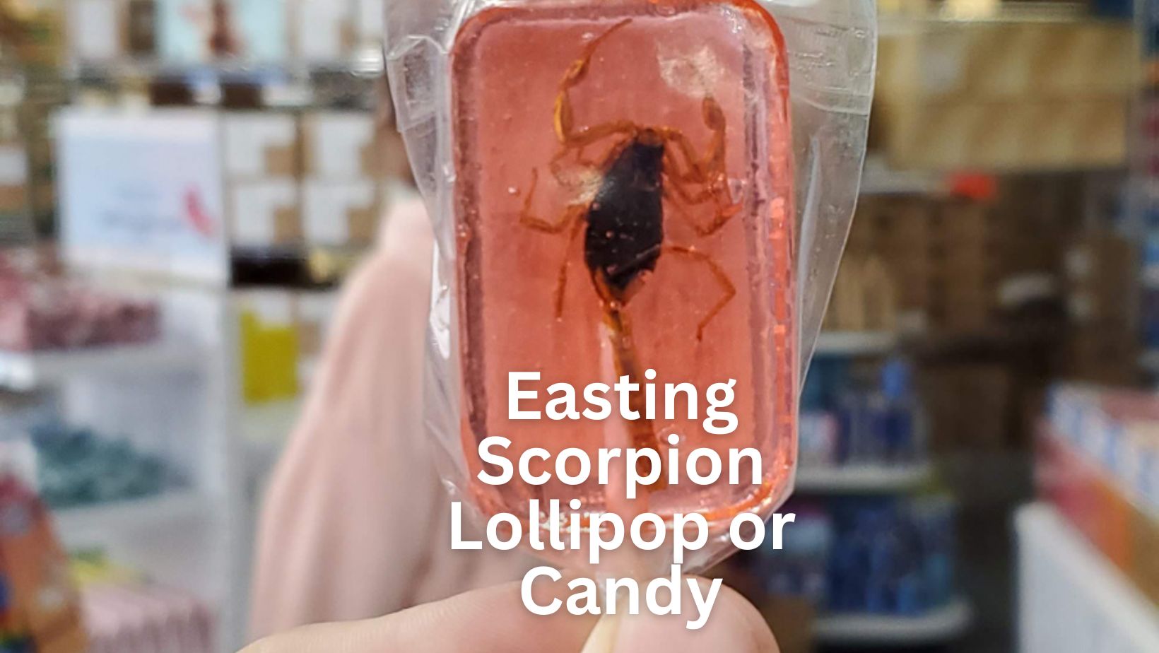 Can you Eat a Scorpion Lollipop or Candy? - The Scorpion Hobby