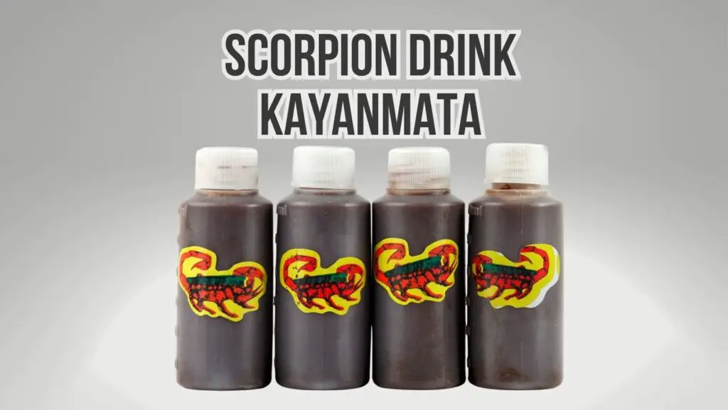 What is Scorpion Drink Kayanmata? Guide 101 The Scorpion Hobby