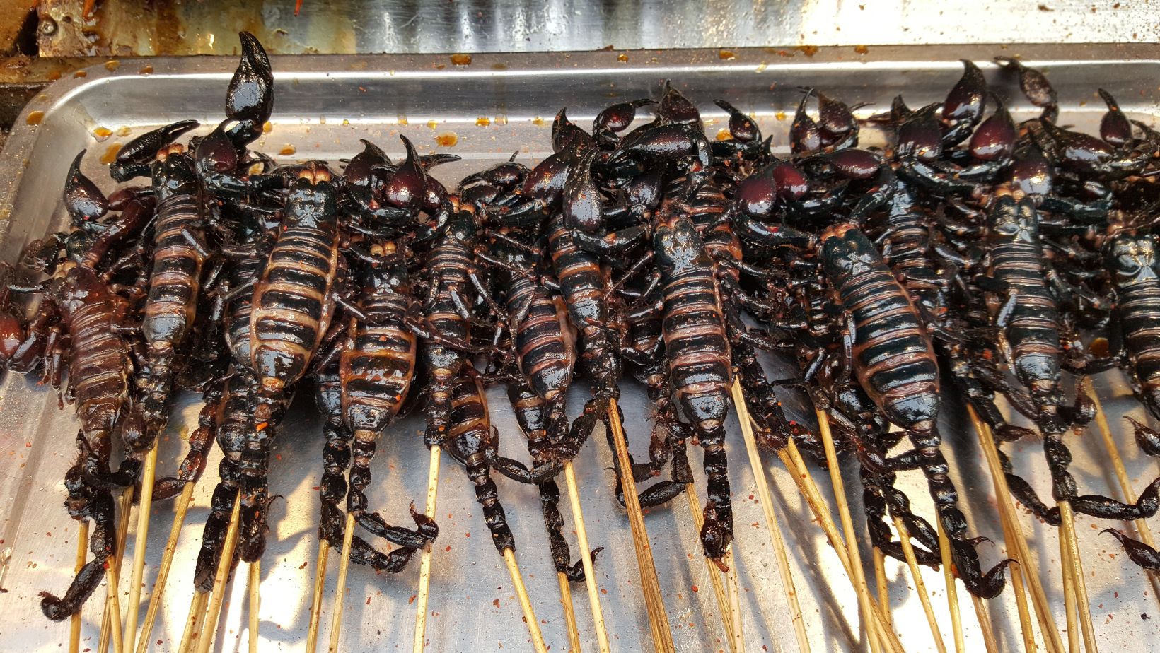 Scorpion as Food