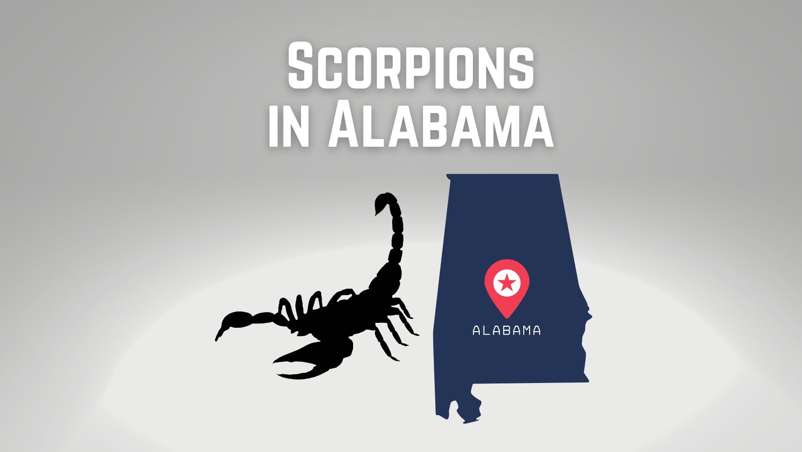 Scorpions in Alabama