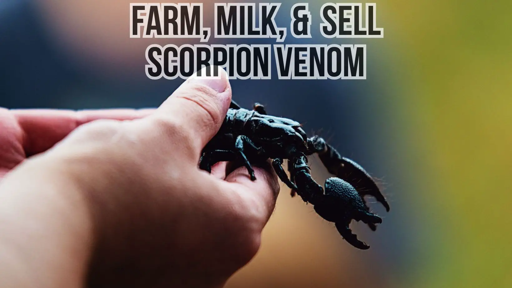Milk and Sell Extracted Venom